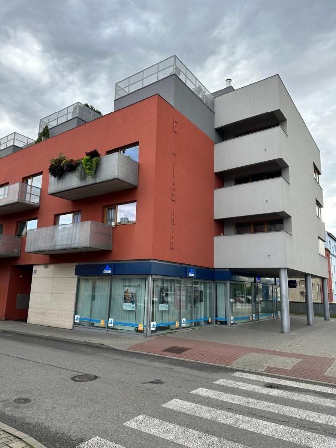 Komarov Apartments Spacilova Nearly Center מראה חיצוני תמונה